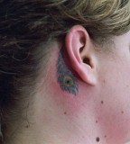 Tiny Peacock Feather Tattoo Design on Ear