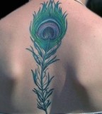 Green Peacock Feather Tattoos on Back 