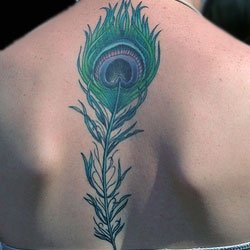 Green Peacock Feather Tattoos on Back