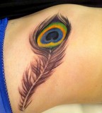 Cute Peacock Feather Tattoos Meaning
