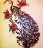 Cute Peacock Tattoos Design 