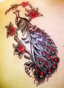 Cute Peacock Tattoos Design