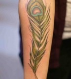 Peacock Feather Tattoo Design on Arm