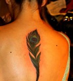 Sexy Girl with Peacock Feather Tattoo on Back 