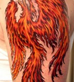 Red Blazing Phoenix Back Tattoo