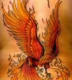 Dashing Red Phoenix Tattoos Fire Style Bird