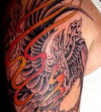 Shoulder Phoenix Tattoo Picture