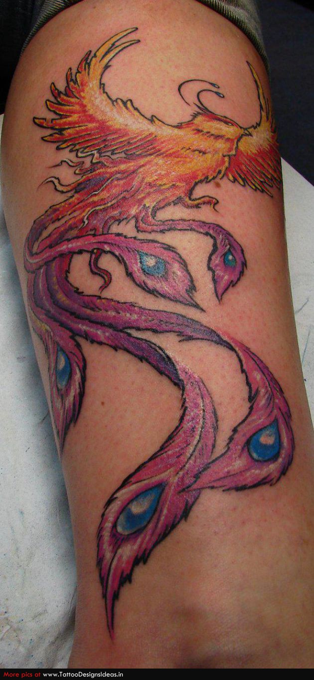 Tatto Design Of Phoenix Tattoos