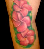 Magenta Plumeria Tattoo Design on Elbow