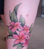 Plumeria Tattoo Design On Leg