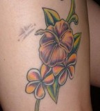 Plumeria Flower Tattoo Design