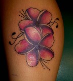 Plumeria Tattoo Design From Stingray