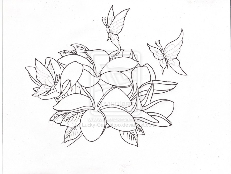 Plumerias And Butterflies Tattoo Sketch By Luckycattattoo