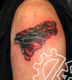 Tattoo Work Puerto Rican Pride Upper Arm
