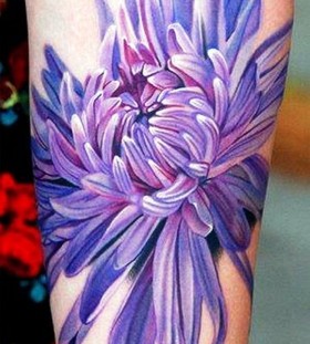 purple Chrysanthemum flower tattoo