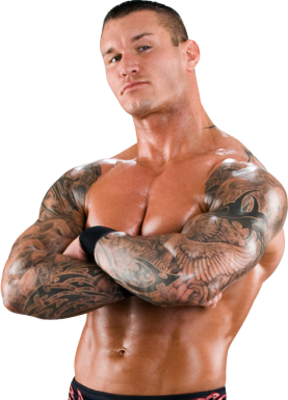 Awesome Sleeves Tattoo Design from WWE Superstar Randy Orton