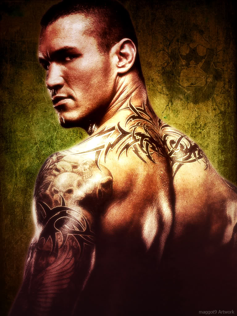 Awesome Randy Orton’s Sleeve Tattoo