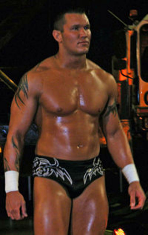 Randy Orton Skull Tattoo Sleeves