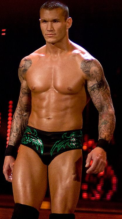 Randy Orton Sleeve Tattoos Pictures