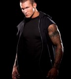 Randy Orton's Sleeves Tattoo Design Inspiration