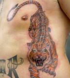 Spectacular Tiger Rib Tattoos For Man