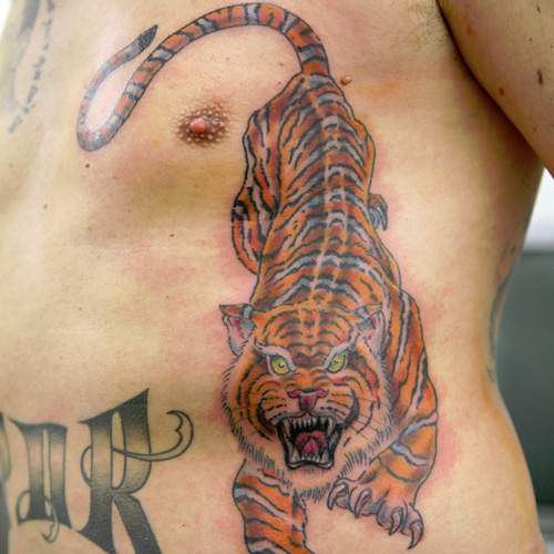 Spectacular Tiger Rib Tattoos For Man