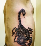 Amazing Scorpion Ribs Tattoo