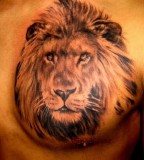 Good Lion Tattoo On Chest Design