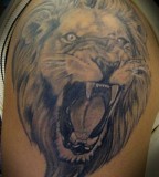Images Custom Tattoo Tattoos Nature Animal Lion Roar