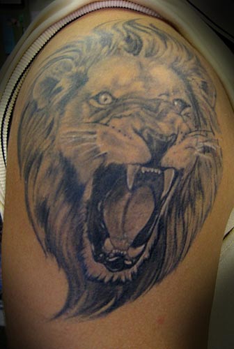 Images Custom Tattoo Tattoos Nature Animal Lion Roar