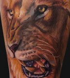 Aslan Lion Tattoo Pictures Gallery
