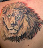 King of the Jungle Lion Tattoos Pictures