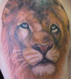 Sad Lion Tattoos Pictures