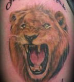 Amazing Lion Tattoos Pictures And Images