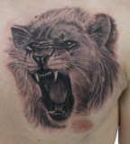 Roaring Lion Chest Tattoo By Steve Wimmer