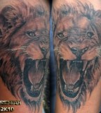 Roaring Lion Tattoos On Shoulders