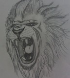 Roaring Sketch Tattoo Lion Tattoo