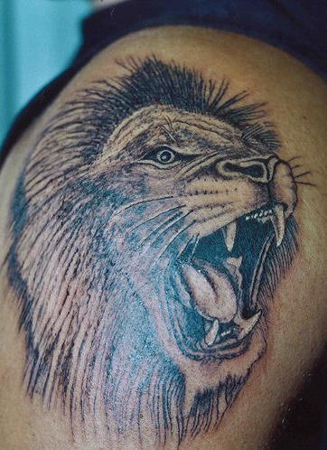 Wild Roaring Lion Tattoo Pictures