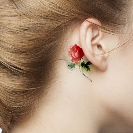 rose behind ear