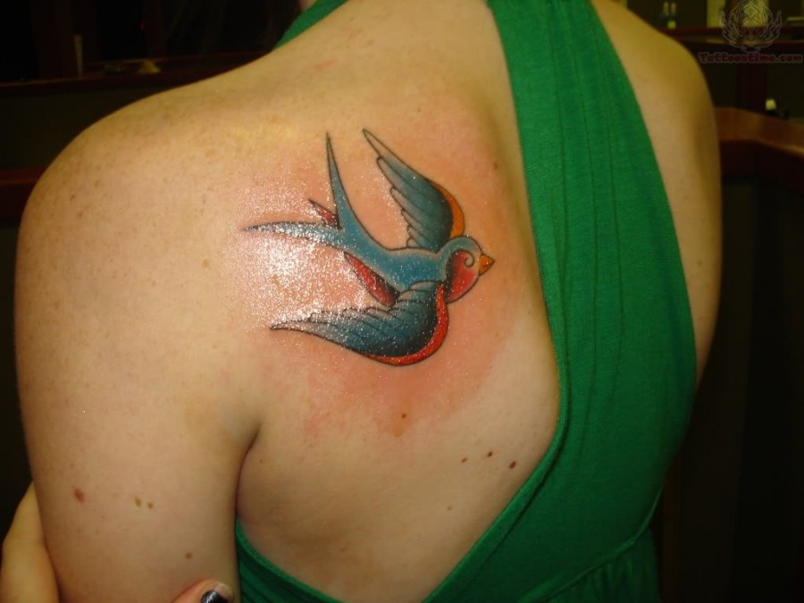Feminine Colorful Swallow Bird Tattoo Design for Women on Back Shoulder