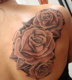 Blooming Roses Flowers Tattoos On Shoulder for Women - Rose Tattoos