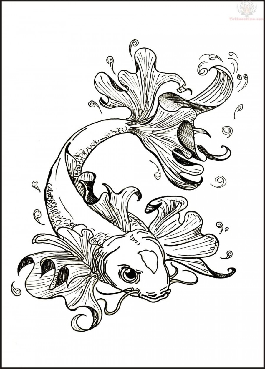 Koi Tattoos Pictures And Images Gallery