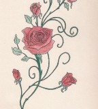 Rose Vine With Pastels Tattoo Pictures