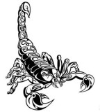 Black and White Temporary Scorpio Tattoo Design