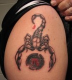 Scorpion Tattoo On Man Shoulder