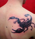 Big Black Scorpion Tattoo on Men Back