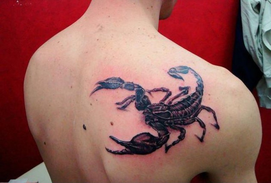Big Black Scorpion Tattoo on Men Back