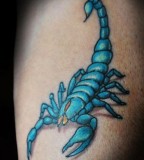 Cool And Amazing Blue Orange Scorpion Tattoo