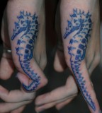 Tribal Tattoos And Meaning - Seahorse Tattoo