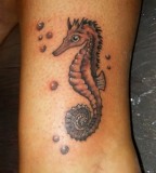 Seahorse Tattoo Designs Symbolize Carefree Movement
